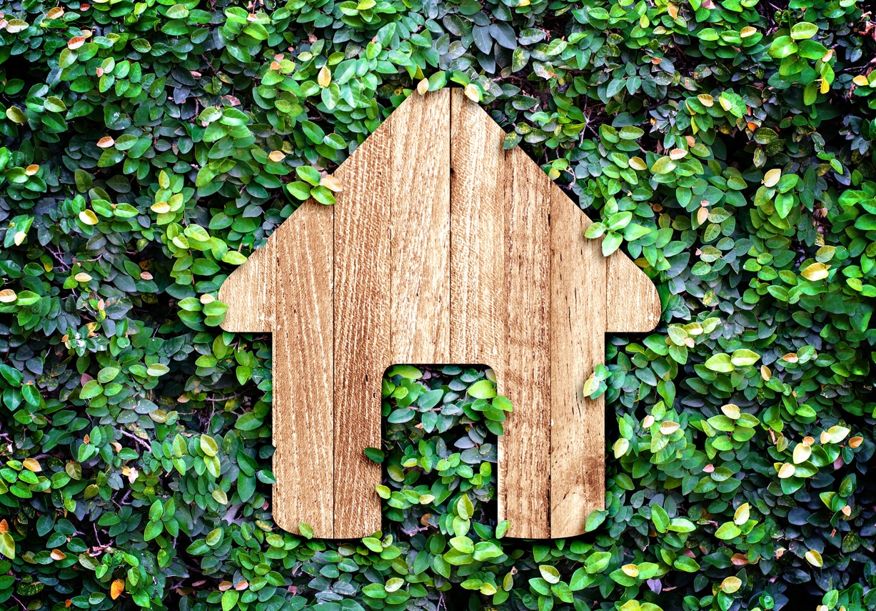 Eco-Friendly Electrical Upgrades for Your Home